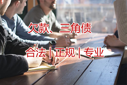 民事欠款纠纷起诉后的法律后果